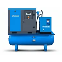 Винтовой компрессор Hansmann RSA 7.5-13-500DR IP23 в Краснодаре | DILEKS.RU