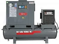 Винтовой компрессор DALGAKIRAN TIDY 5-10-250D в Краснодаре | DILEKS.RU