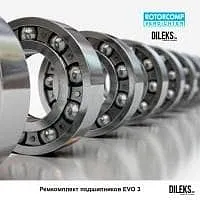Ремкомплект подшипников ROTORCOMP EVO3 162133